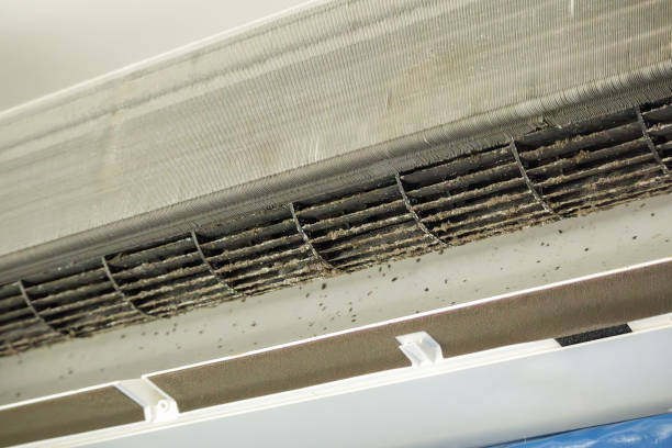 Best Air Vent Cleaning Services  in Grissom Af, IN